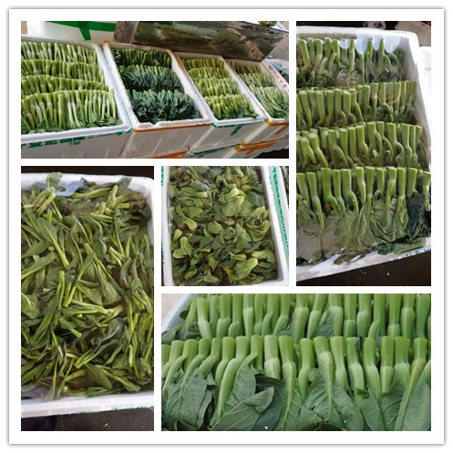 首页| J9集团国际站官方网站