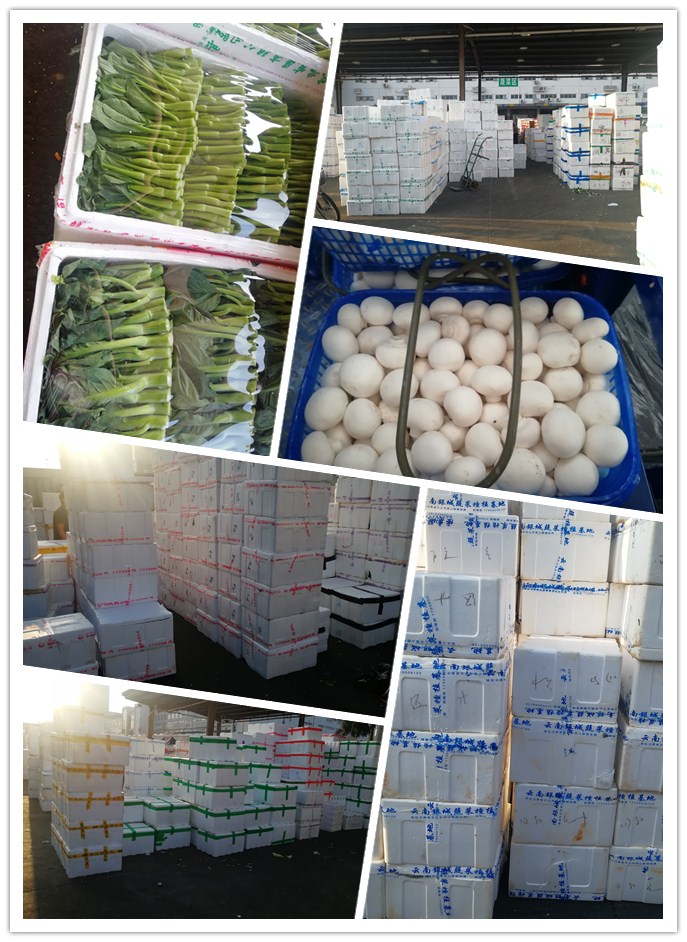 首页| J9集团国际站官方网站