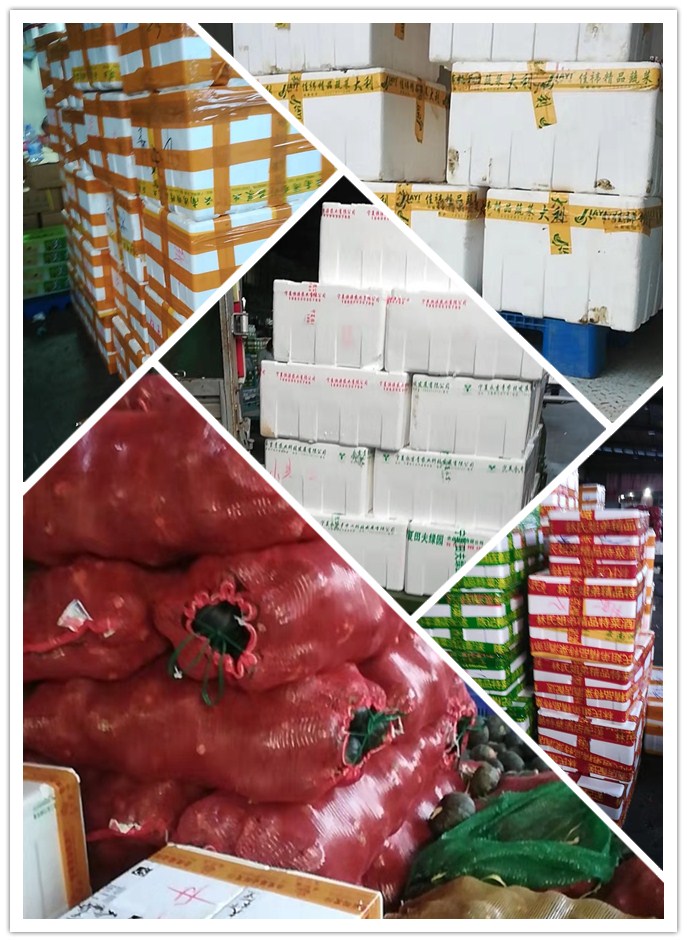 首页| J9集团国际站官方网站