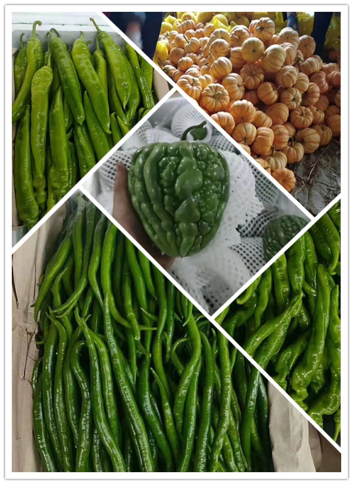 首页| J9集团国际站官方网站