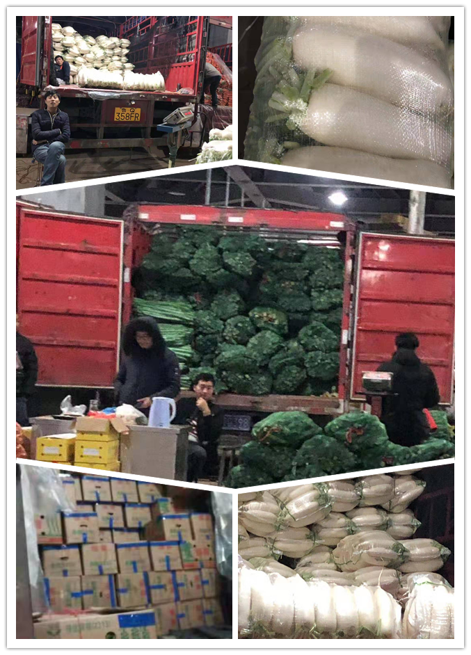 首页| J9集团国际站官方网站