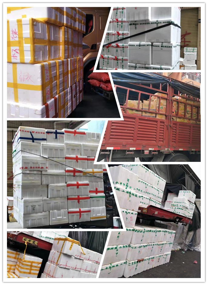 首页| J9集团国际站官方网站