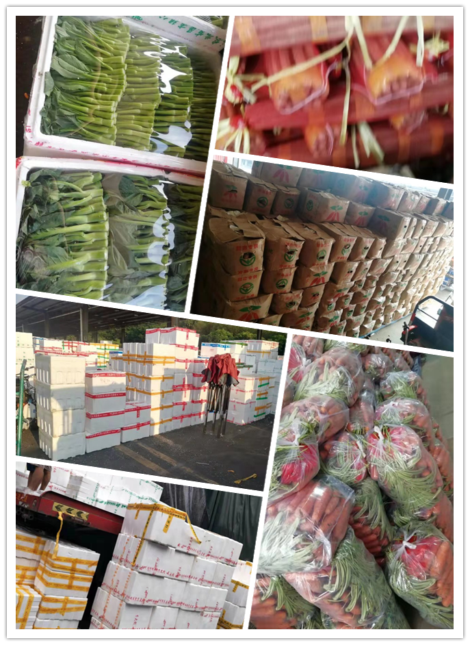 首页| J9集团国际站官方网站