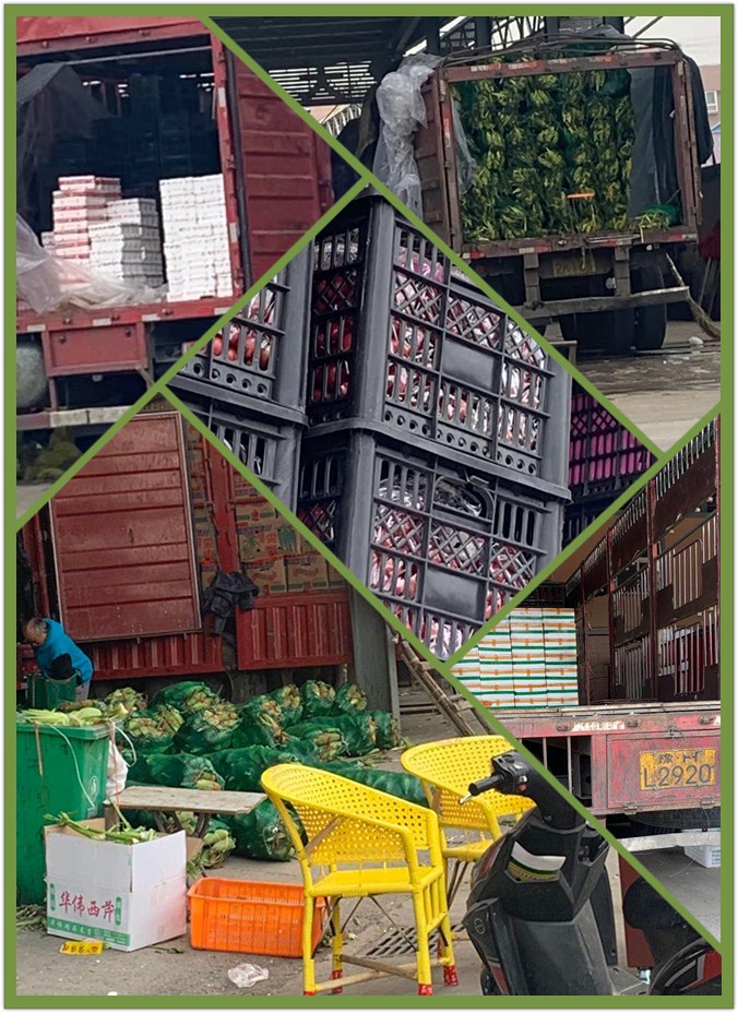 首页| J9集团国际站官方网站