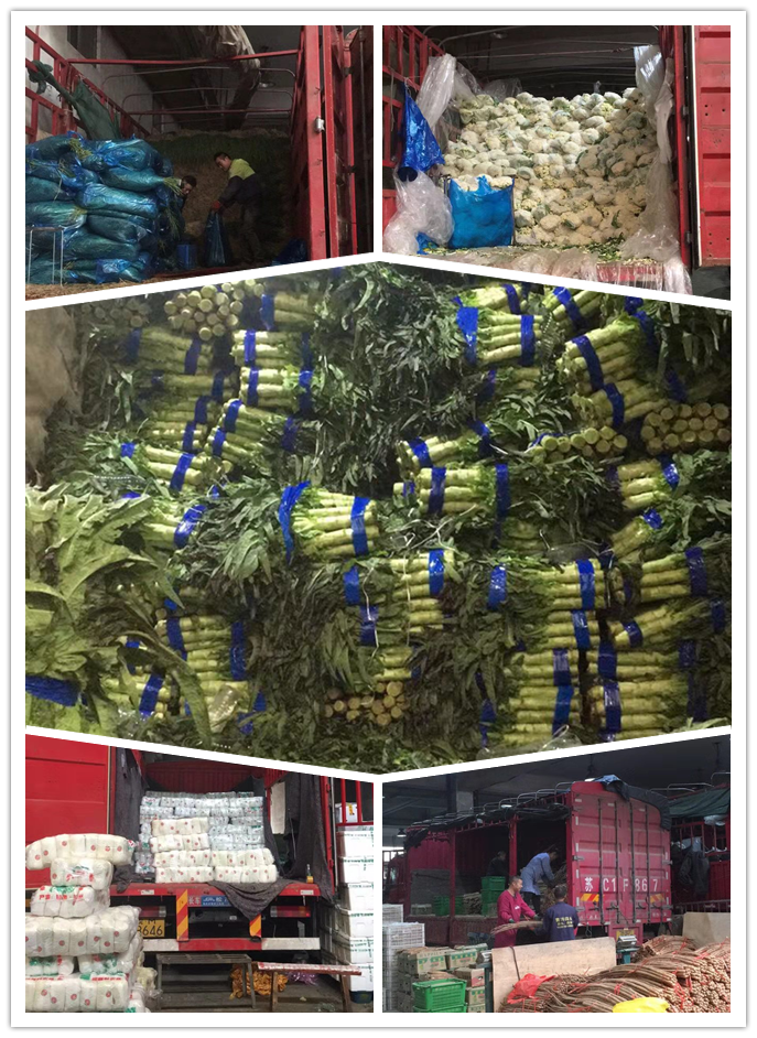 首页| J9集团国际站官方网站