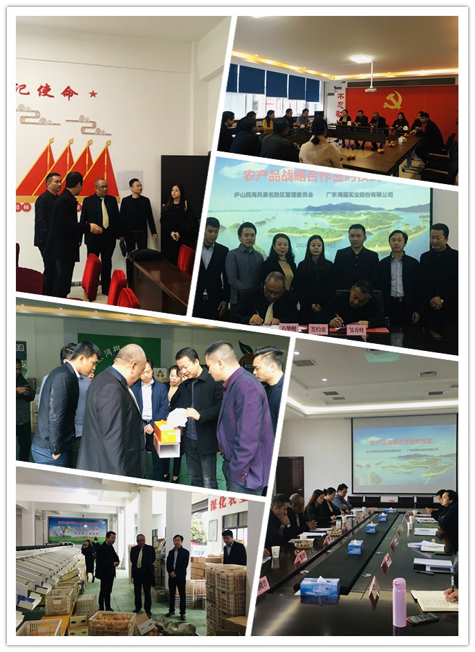 首页| J9集团国际站官方网站