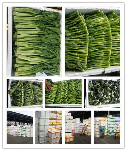 首页| J9集团国际站官方网站