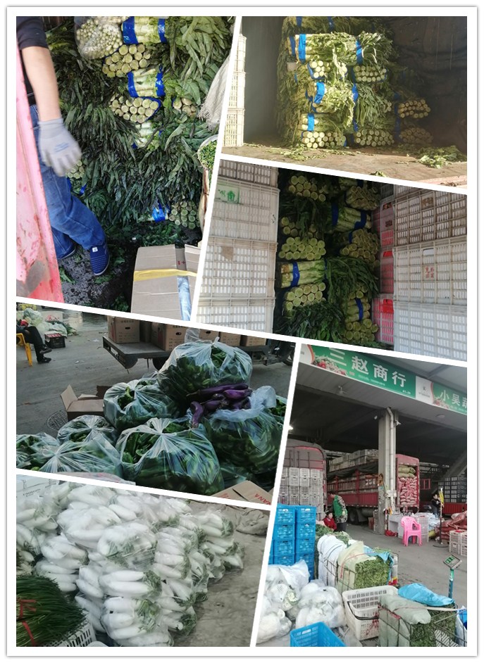 首页| J9集团国际站官方网站