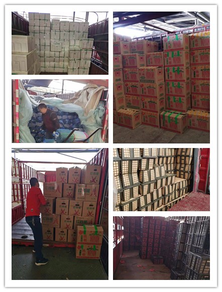 首页| J9集团国际站官方网站