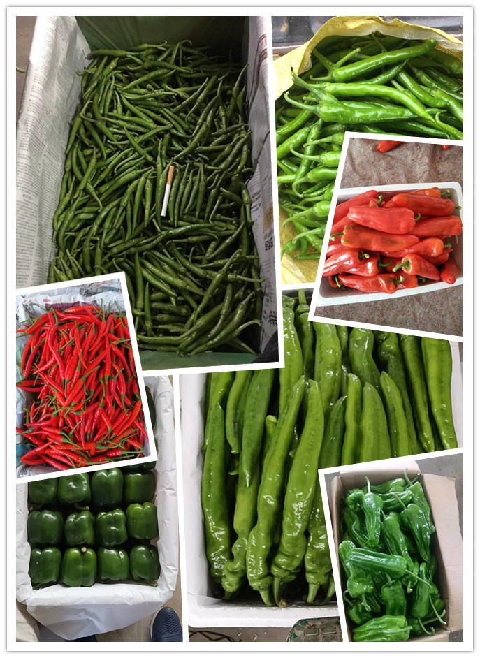 首页| J9集团国际站官方网站