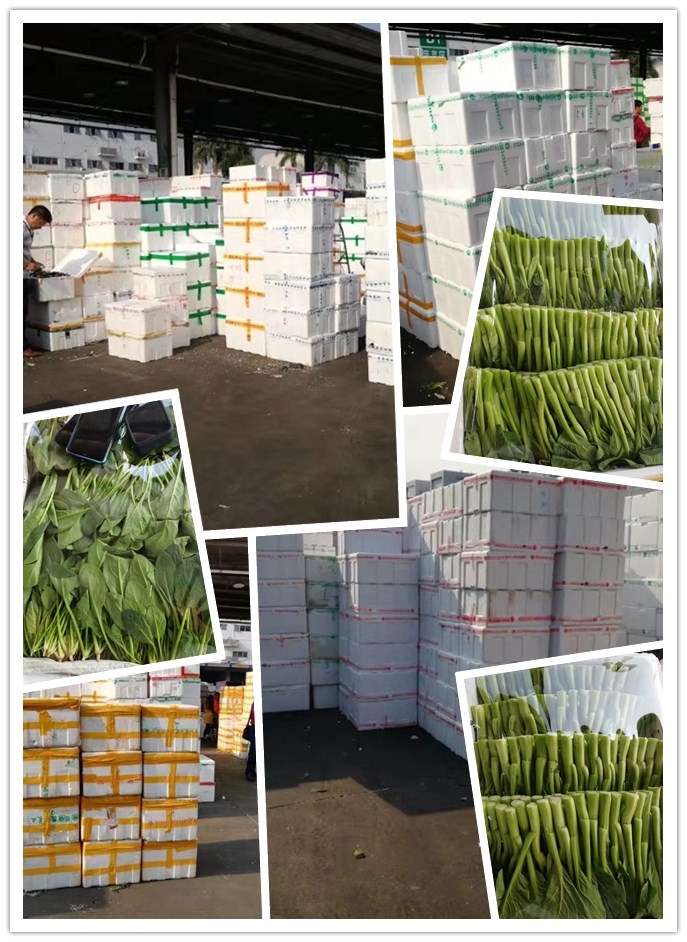 首页| J9集团国际站官方网站