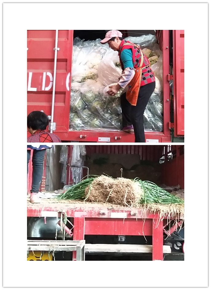 首页| J9集团国际站官方网站