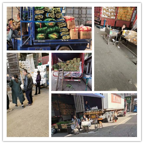 首页| J9集团国际站官方网站