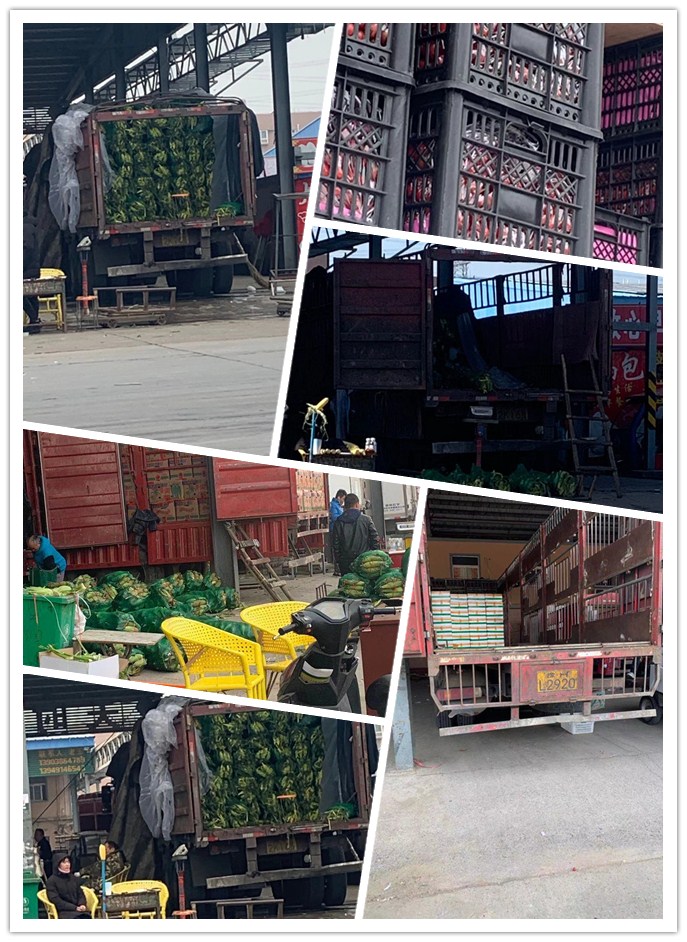 首页| J9集团国际站官方网站