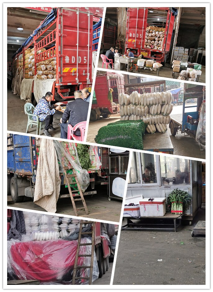 首页| J9集团国际站官方网站