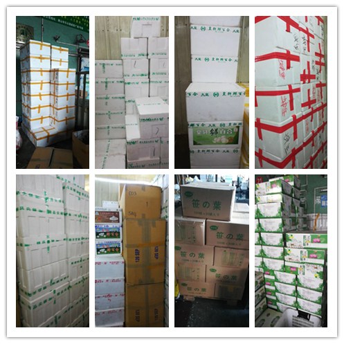 首页| J9集团国际站官方网站