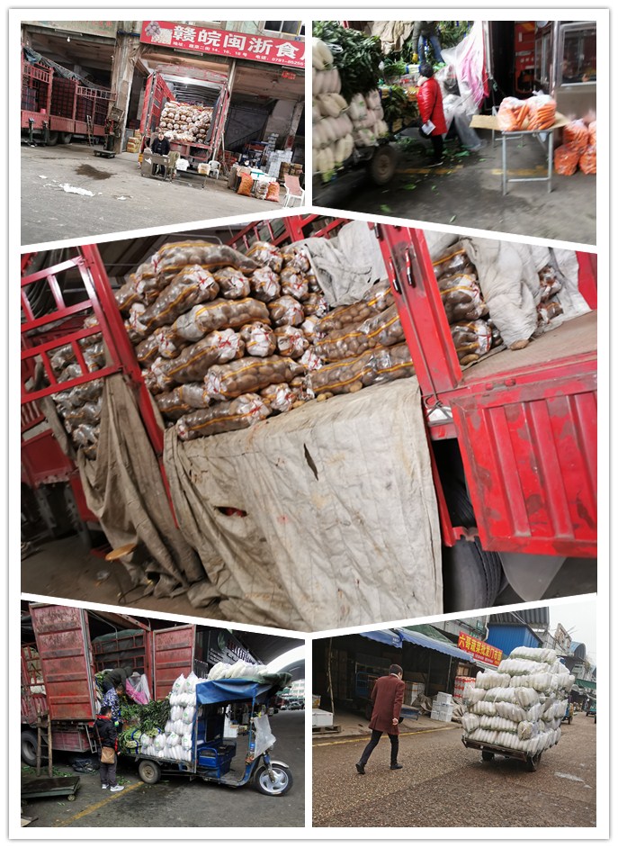 首页| J9集团国际站官方网站