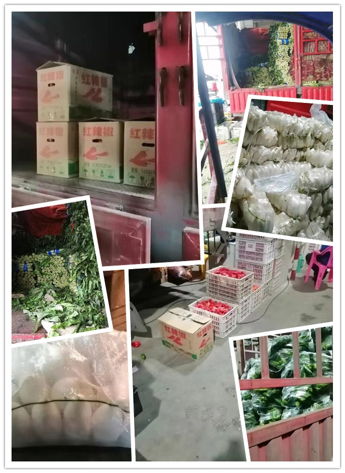 首页| J9集团国际站官方网站