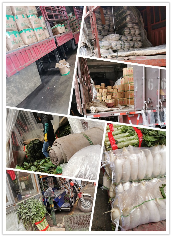 首页| J9集团国际站官方网站