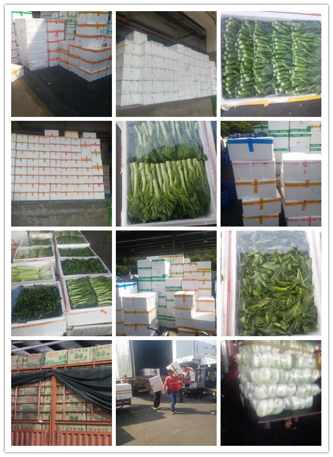 首页| J9集团国际站官方网站