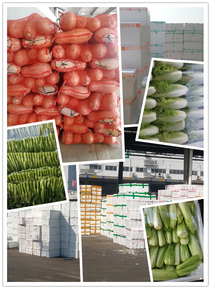 首页| J9集团国际站官方网站