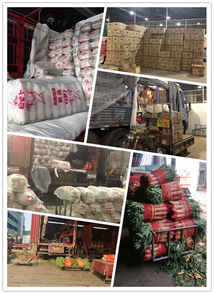 首页| J9集团国际站官方网站