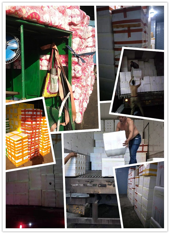 首页| J9集团国际站官方网站