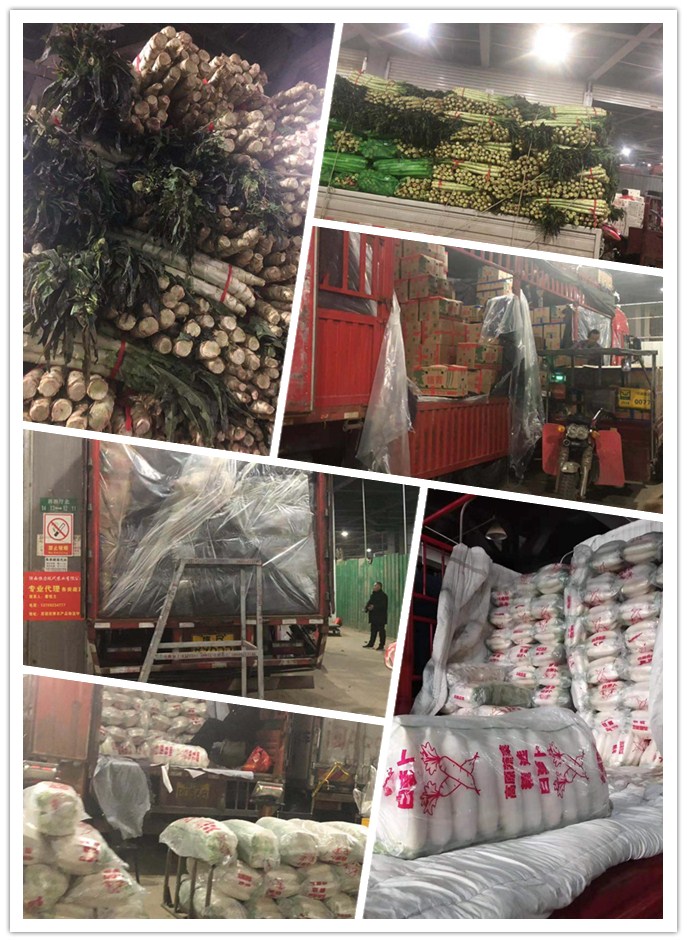 首页| J9集团国际站官方网站