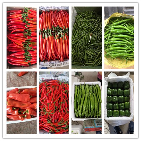 首页| J9集团国际站官方网站