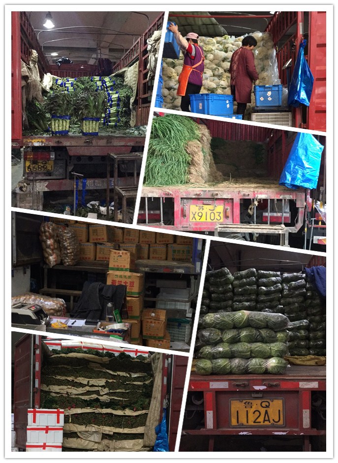 首页| J9集团国际站官方网站