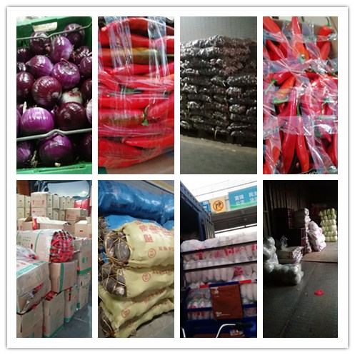 首页| J9集团国际站官方网站