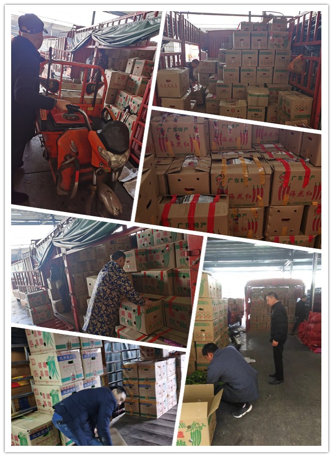 首页| J9集团国际站官方网站