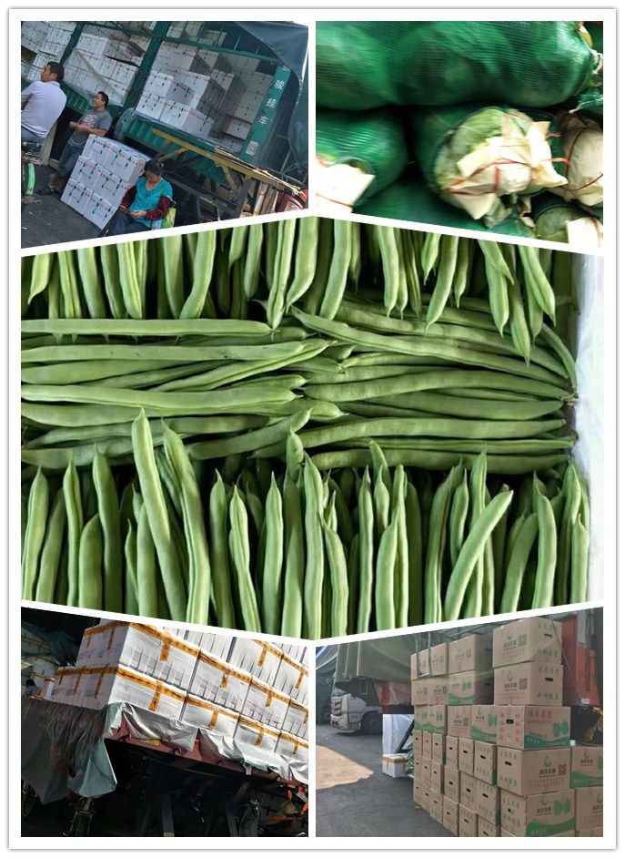 首页| J9集团国际站官方网站