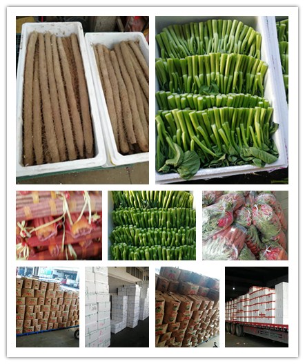 首页| J9集团国际站官方网站