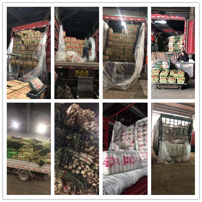 首页| J9集团国际站官方网站