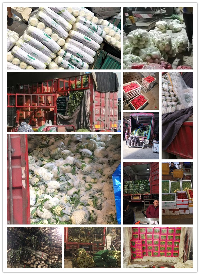 首页| J9集团国际站官方网站