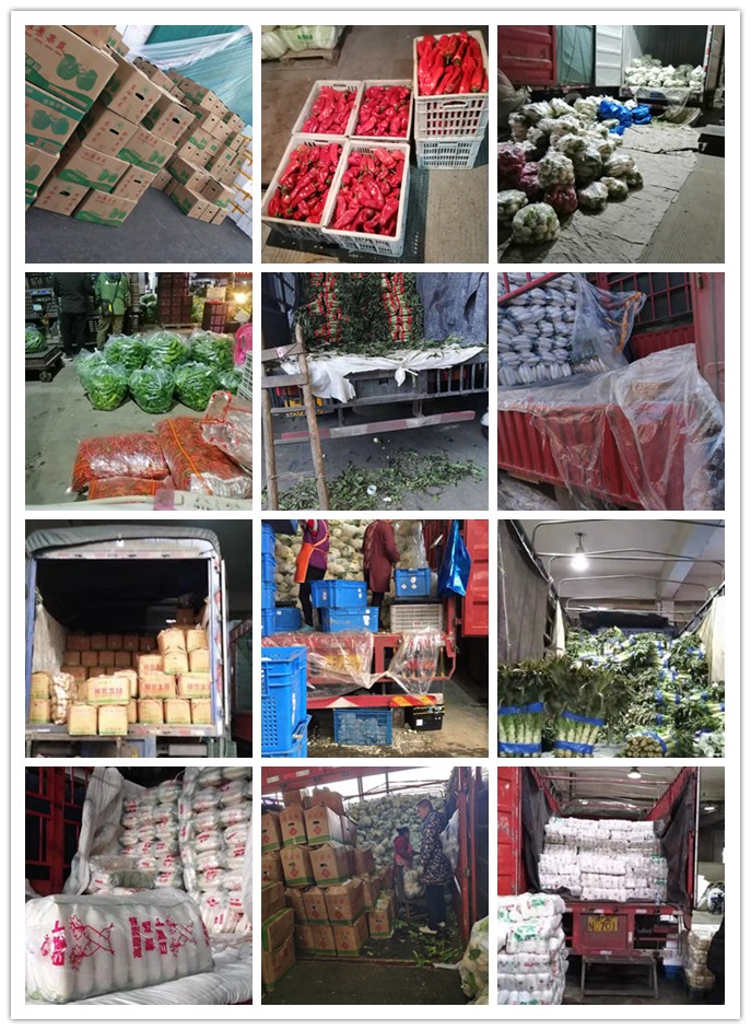 首页| J9集团国际站官方网站