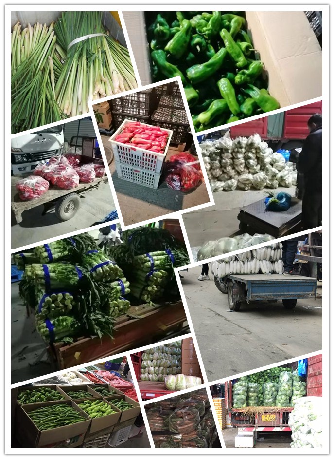 首页| J9集团国际站官方网站