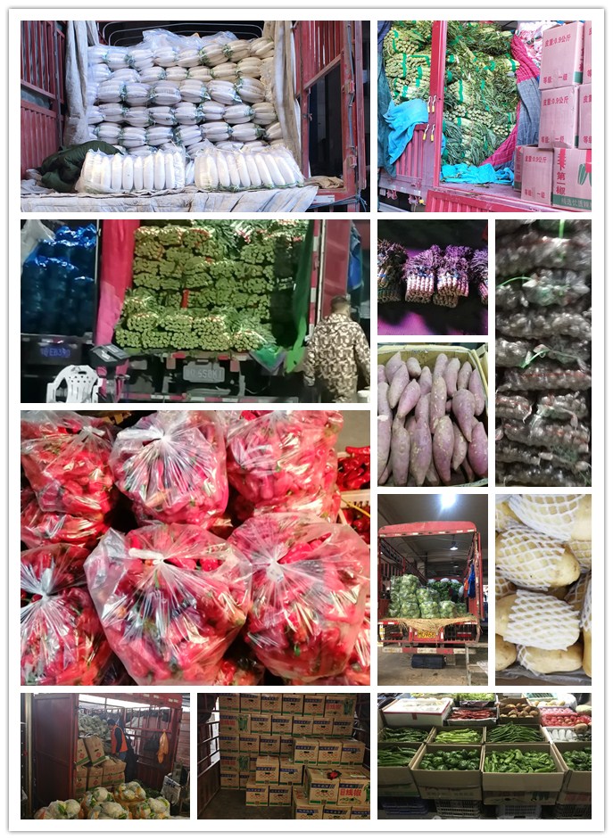 首页| J9集团国际站官方网站