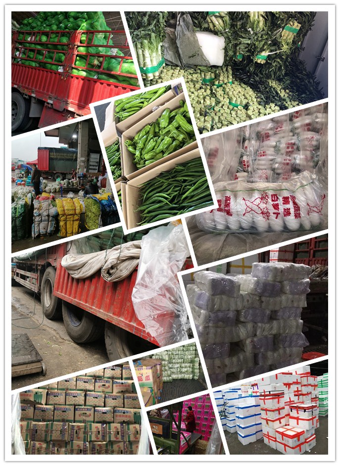 首页| J9集团国际站官方网站