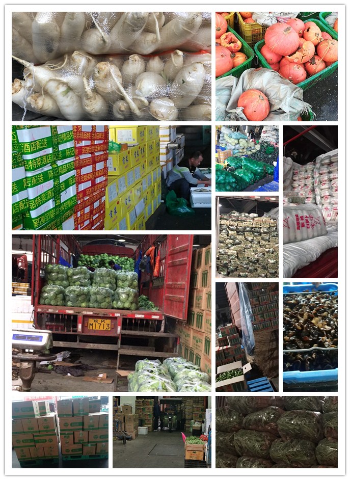 首页| J9集团国际站官方网站