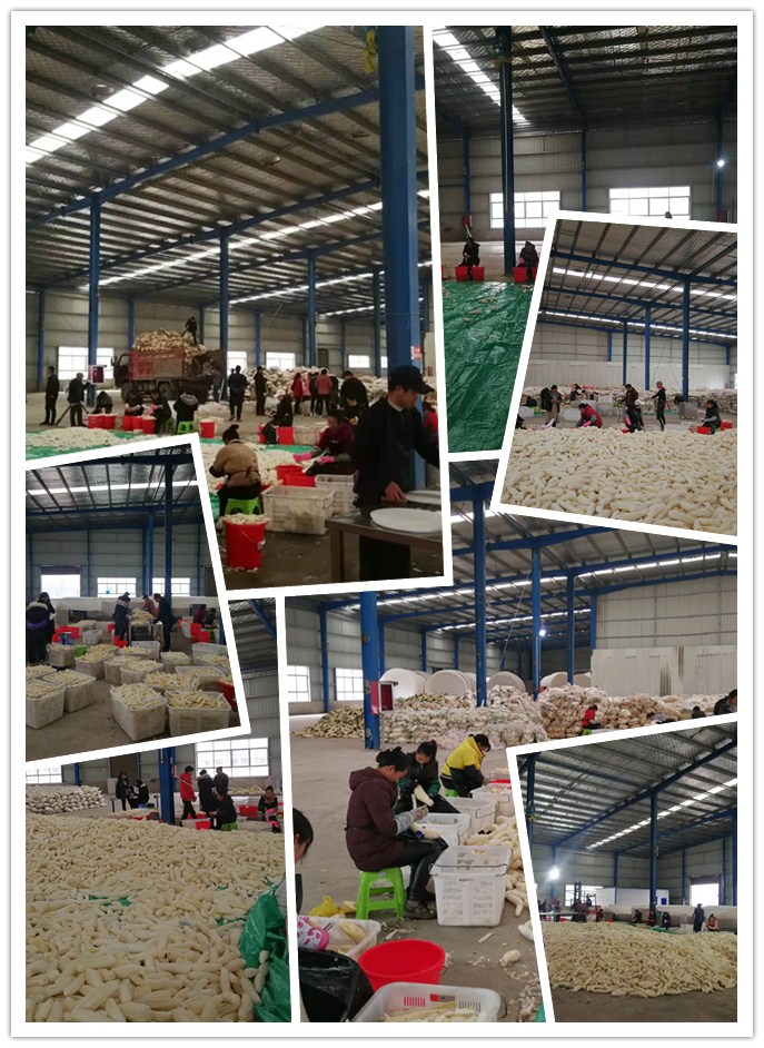 首页| J9集团国际站官方网站