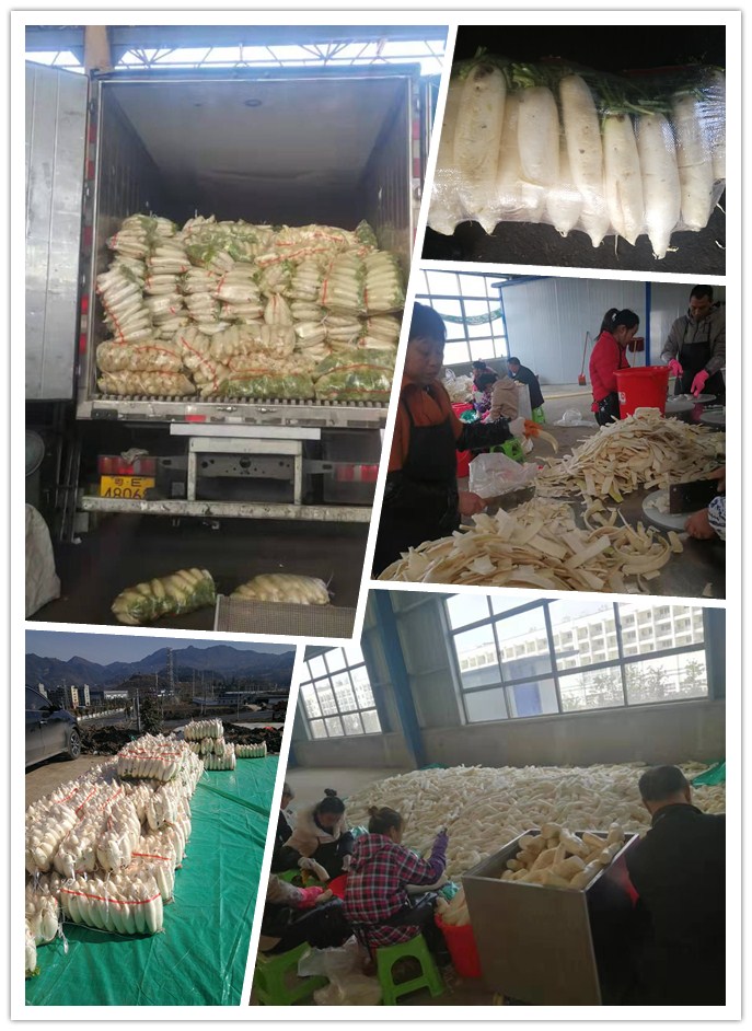 首页| J9集团国际站官方网站