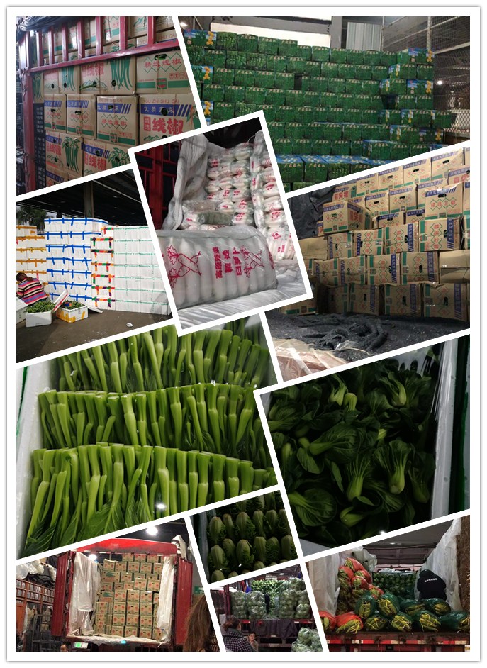 首页| J9集团国际站官方网站