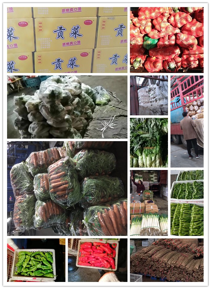 首页| J9集团国际站官方网站