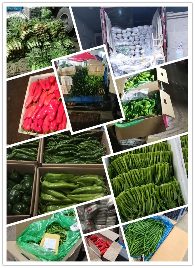 首页| J9集团国际站官方网站