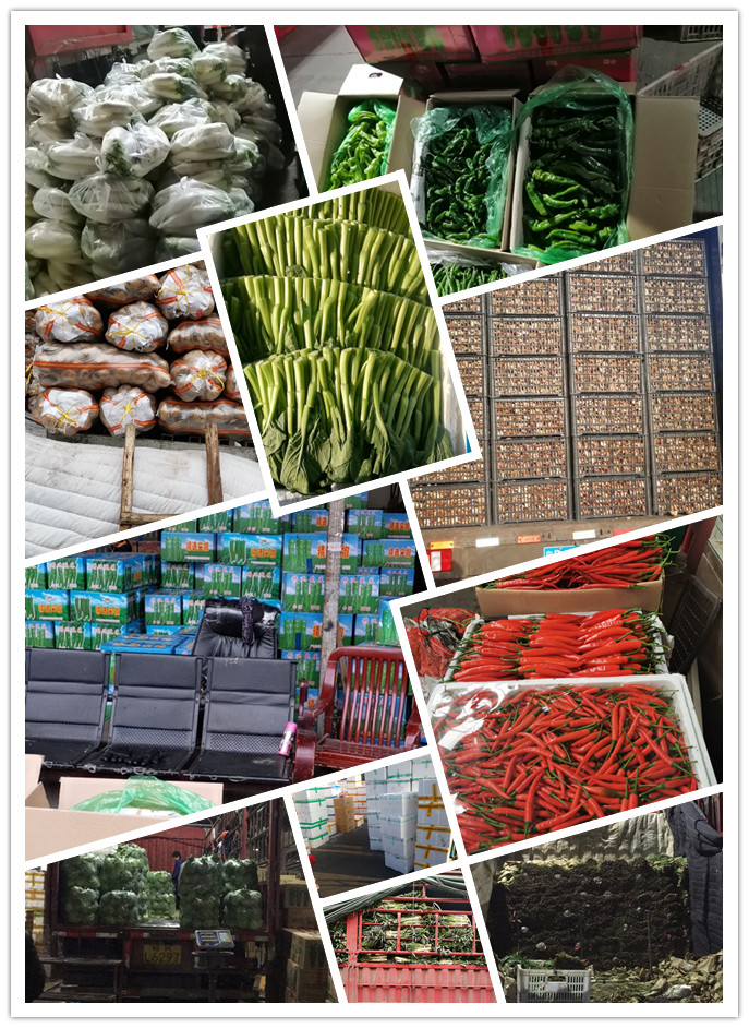 首页| J9集团国际站官方网站