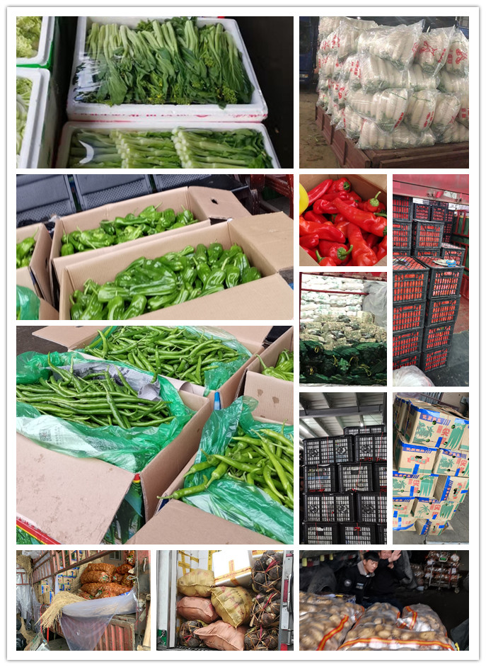 首页| J9集团国际站官方网站