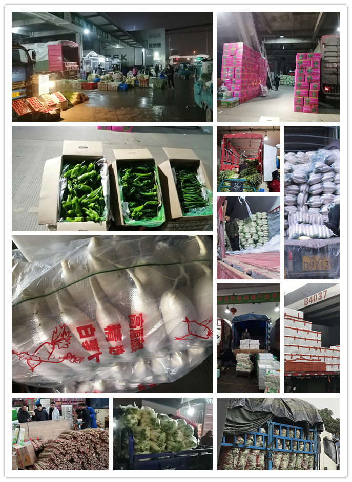 首页| J9集团国际站官方网站