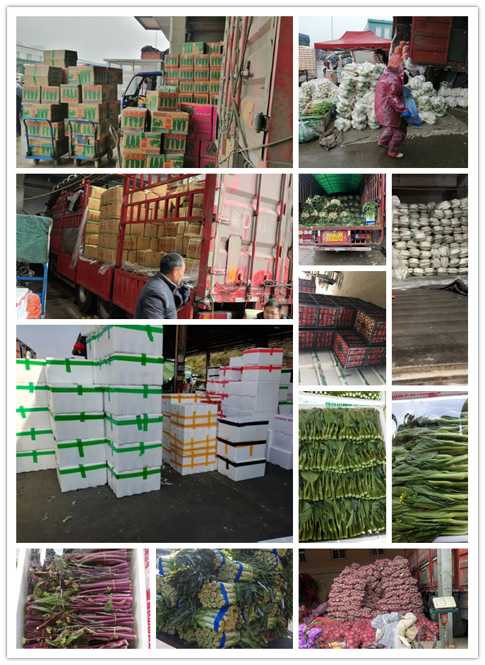 首页| J9集团国际站官方网站